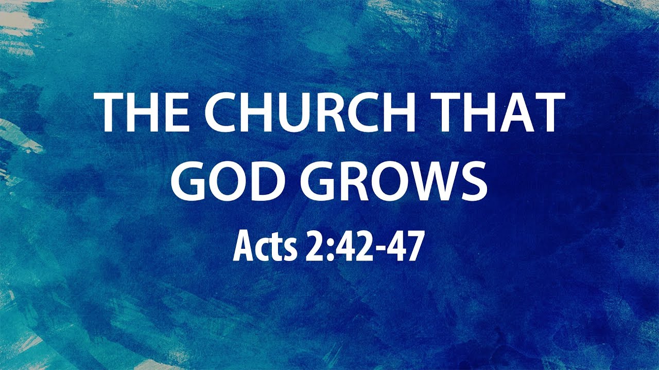 “The Church that God Grows” | Dr. Derek Westmoreland
