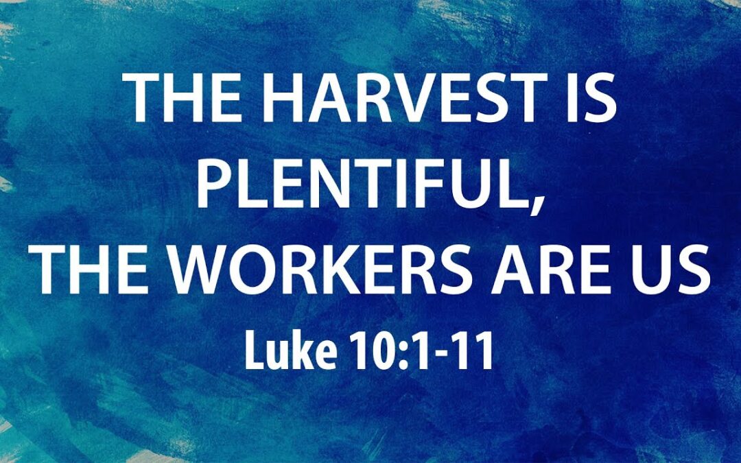 “The Harvest is Plentiful, The Workers are Us” | Dr. Derek Westmoreland