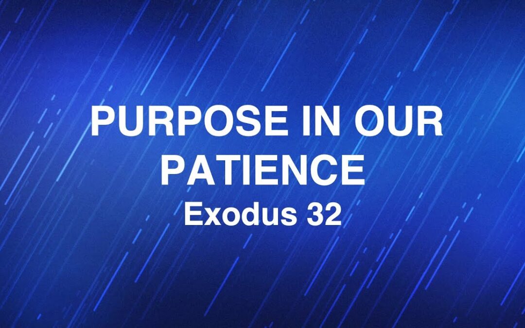 February 12, 2025 | “Purpose in Our Patience” | Dr. Derek Westmoreland