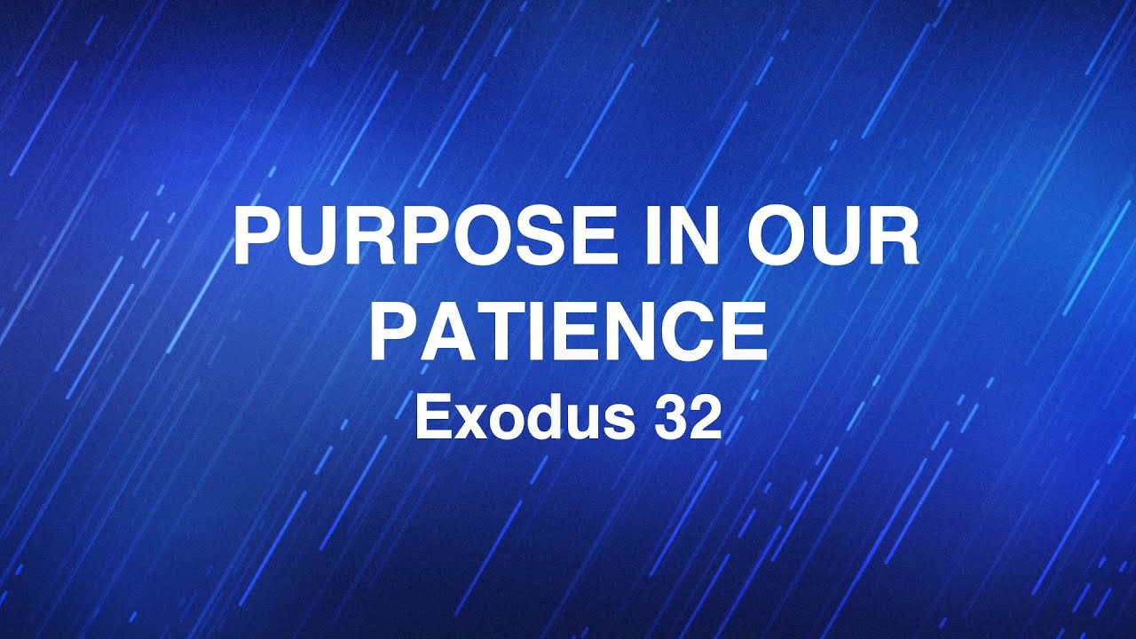 February 12, 2025 | “Purpose in Our Patience” | Dr. Derek Westmoreland